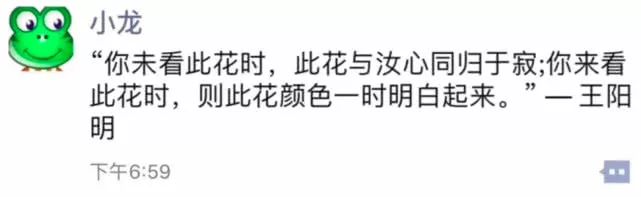重庆电子商务:此版本开屏画面是朵盛开的花